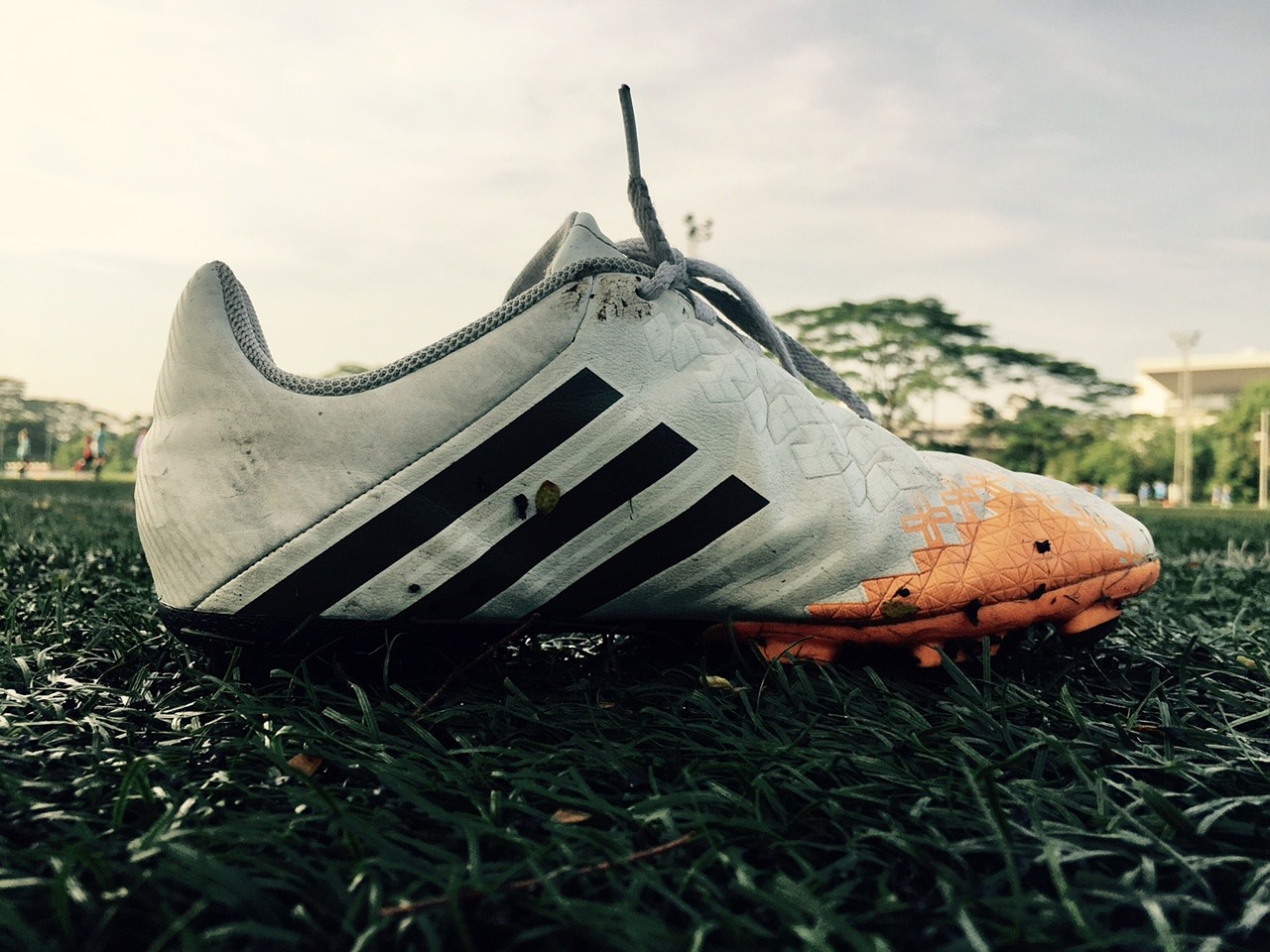 Sport