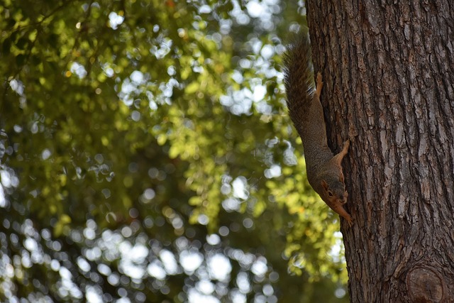 联可能的胜 联可能的胜