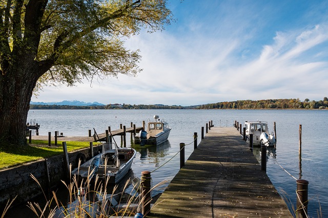 不禁联想到 不禁联想到