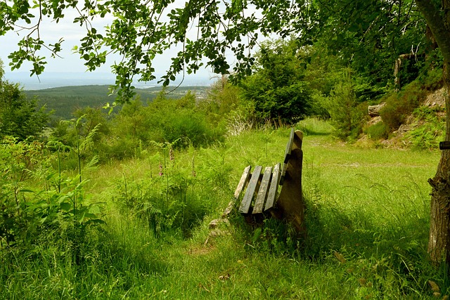 顶尖门将 顶尖门将