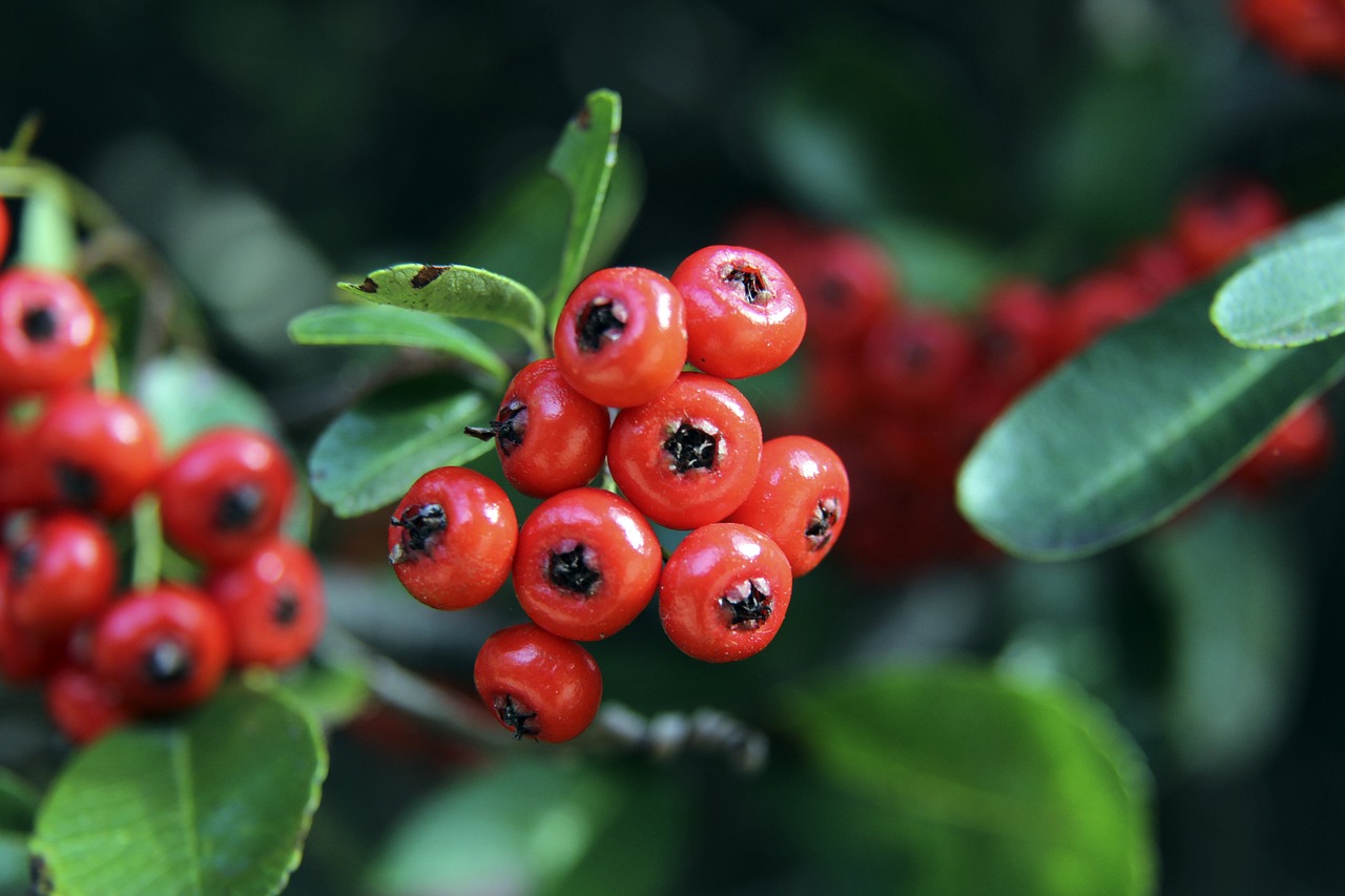 正因为这样 正因为这样