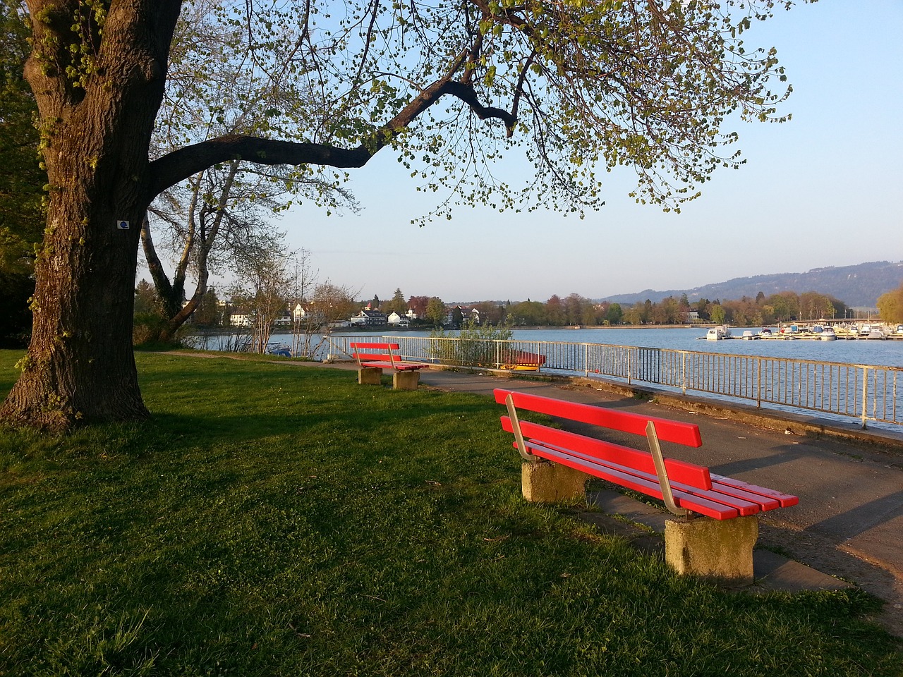 对雄鹿队的 对雄鹿队的