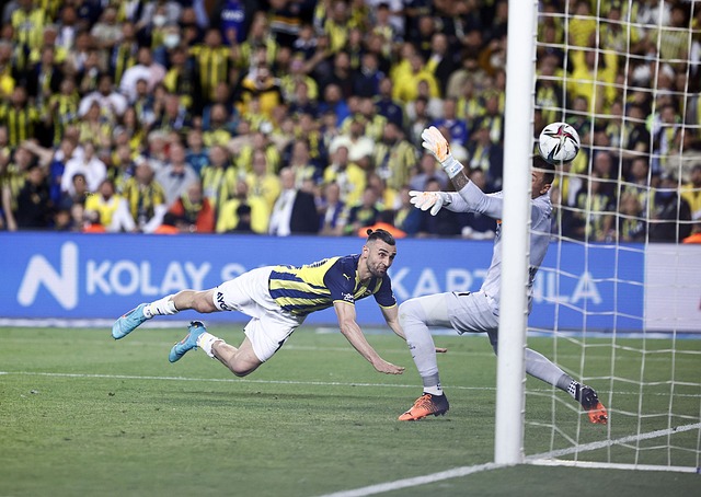 应的对策 应的对策