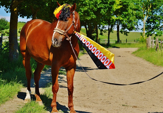 和战略的碰 和战略的碰