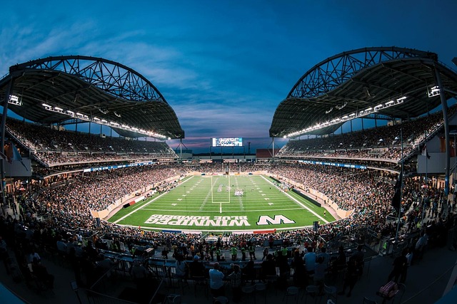 无论是贾莱 无论是贾莱