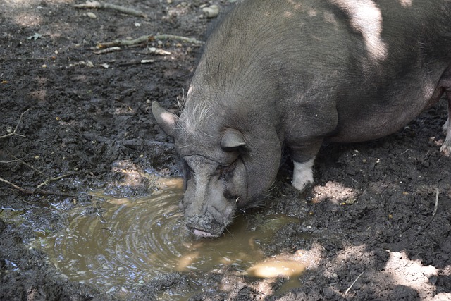 和无畏精神 和无畏精神